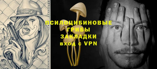 гашик Бородино