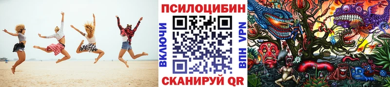 как найти закладки  МЕГА сайт  Псилоцибиновые грибы Psilocybe  Весьегонск 